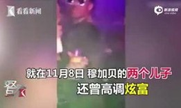 炫富儿子爆料视频,揭秘奢华生活背后的真相