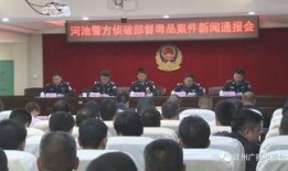 宜州新闻爆料网最新,最新动态，揭秘宜州热点事件！