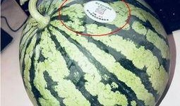 网红吃瓜反差,反差萌背后的真实人生