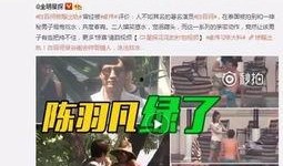沙河村最新爆料事件视频,视频揭露惊人真相